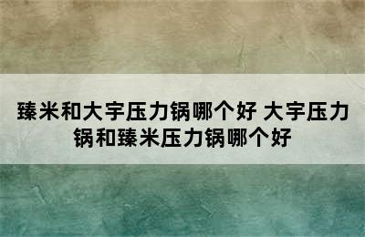 臻米和大宇压力锅哪个好 大宇压力锅和臻米压力锅哪个好